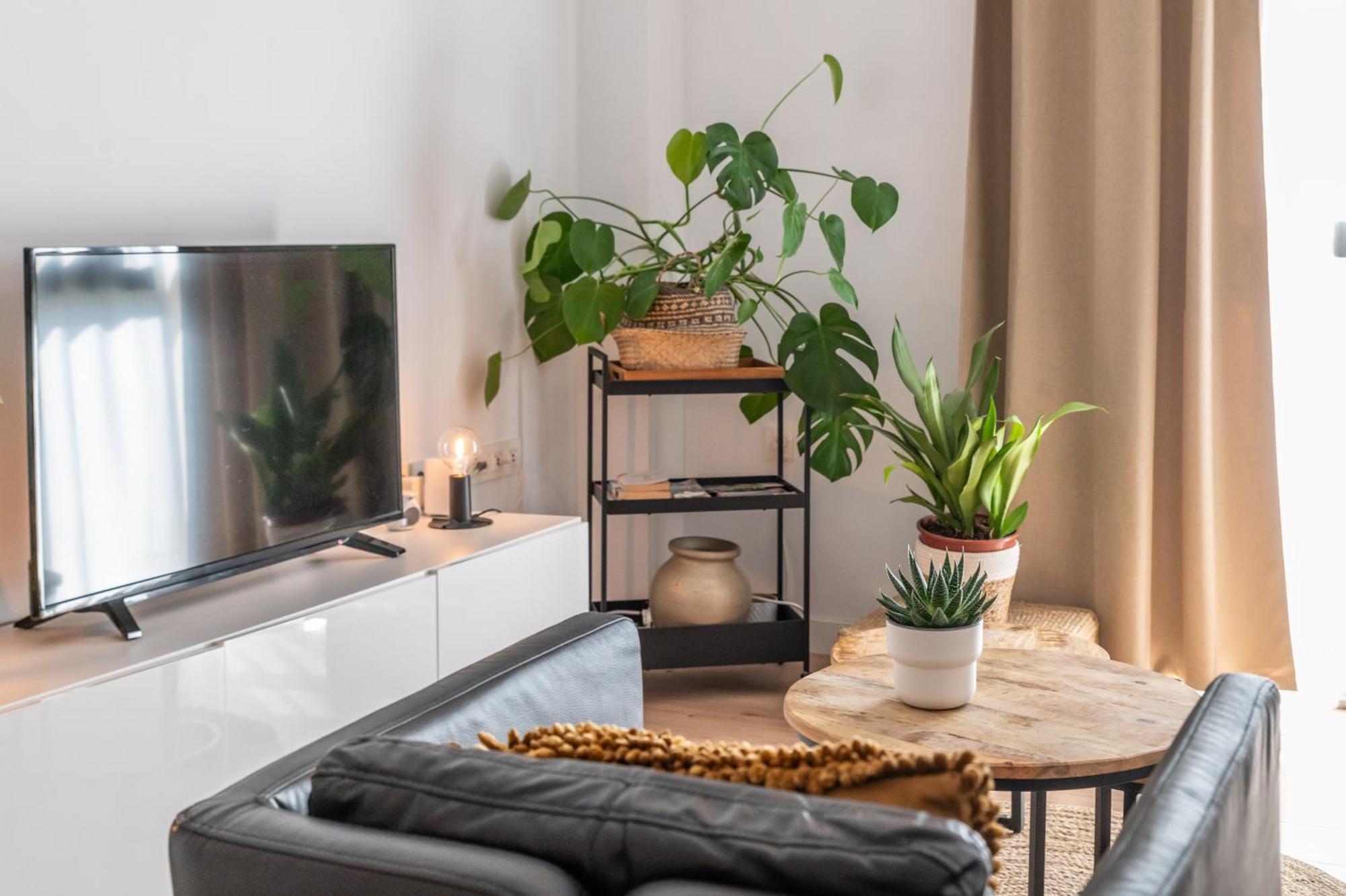 Urban Chic Loft Malaga City Center Zewnętrze zdjęcie